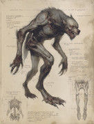HighRes-Werwolf Skizze-standard v2-2x