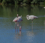 Whats-App-Image-2025-10-07-at-20-03-22-630bb375