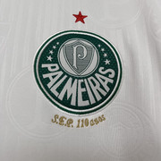 Palmeiras-II-24-25-3.jpg