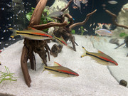 8019CD0C-9B64-444E-81B7-B700C3A7B88A