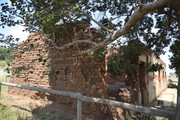 DSC-0040