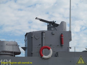 IMG-1461