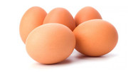 Egg Icon
