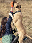 IMG_20230416_173338_536