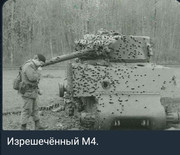 https://i.postimg.cc/zbkhBQvB/photo-2026-06-17-03-40-14.jpg