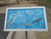 IMG-20260617-095428496