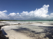 Five Cays Beach