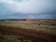 IMG_20210314_153800_2