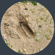 Photographed by: Twiglet June 11th 2023