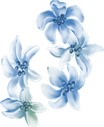 april-showers-SD-27