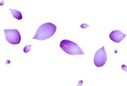 0-1c0e10-c2d56311-orig