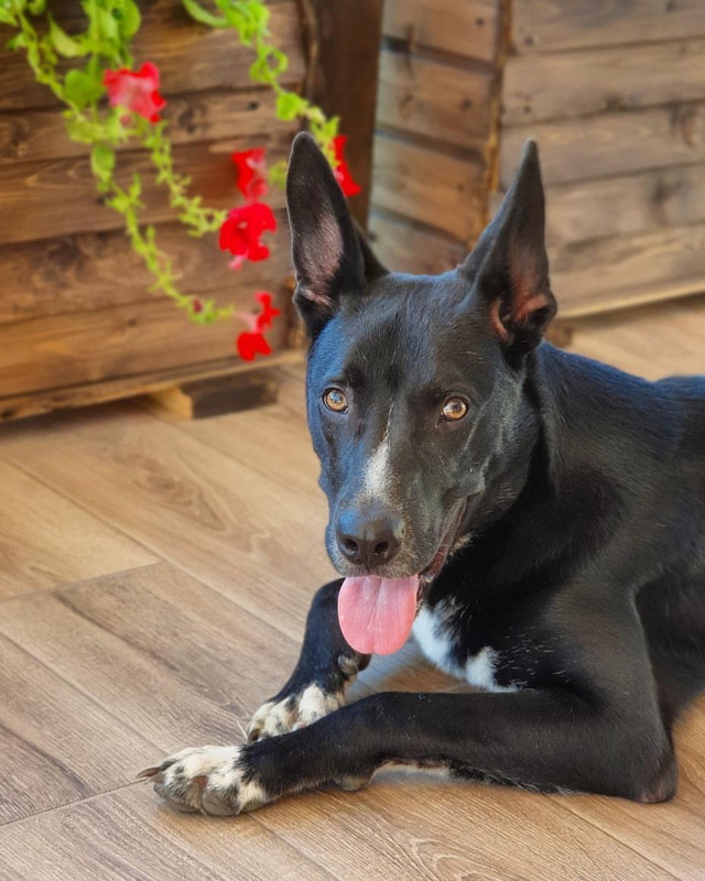 4D349197-D2C4-4082-882D-F126B5A5E91C