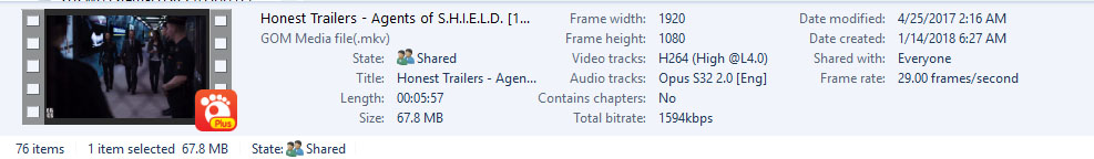 Windows Explorer Details Pane with Icaros metadata