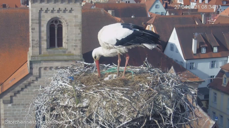 2021-04-27-0834-2Kü