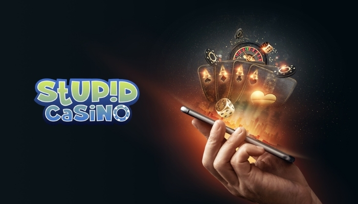 Stupid Casino Bonuswerte