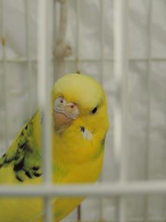 DSCN5354