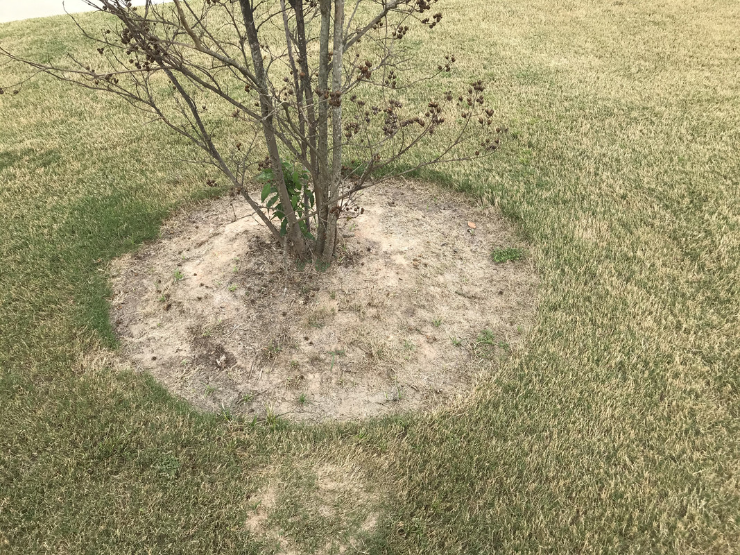 5EAFF526-E92B-4F46-854E-0311133CC3A0