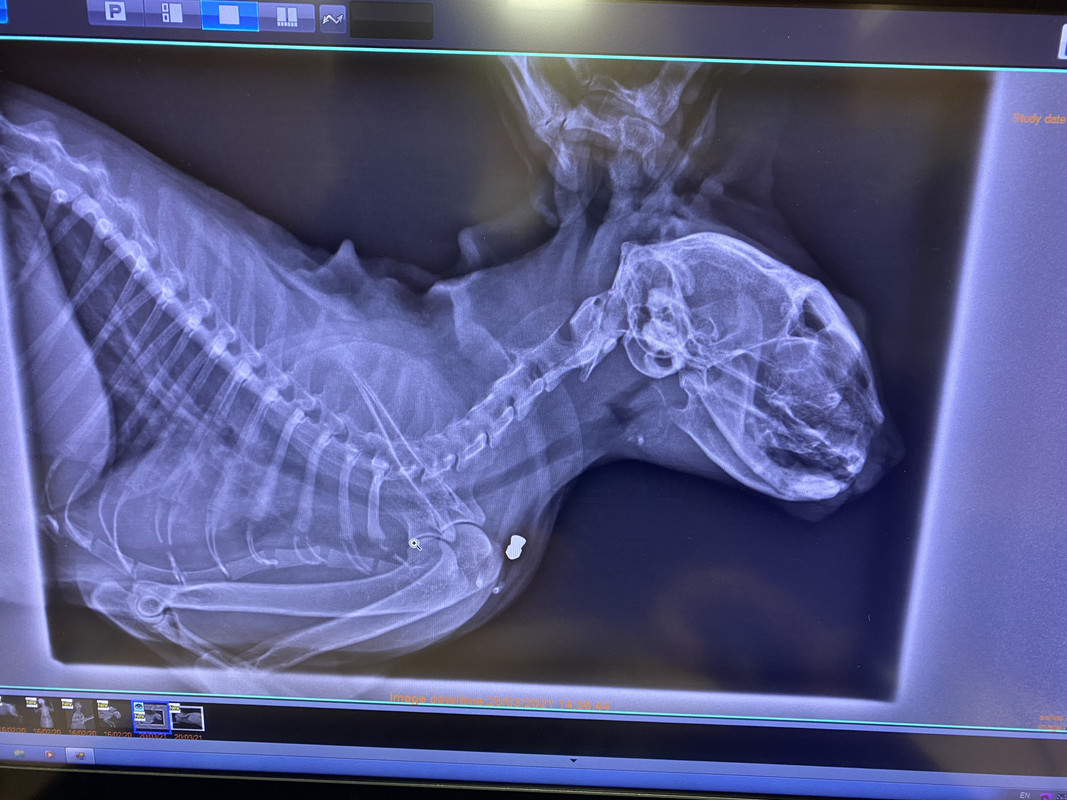 4707C3E1-D62F-4D59-B5B5-8AF77536A54B