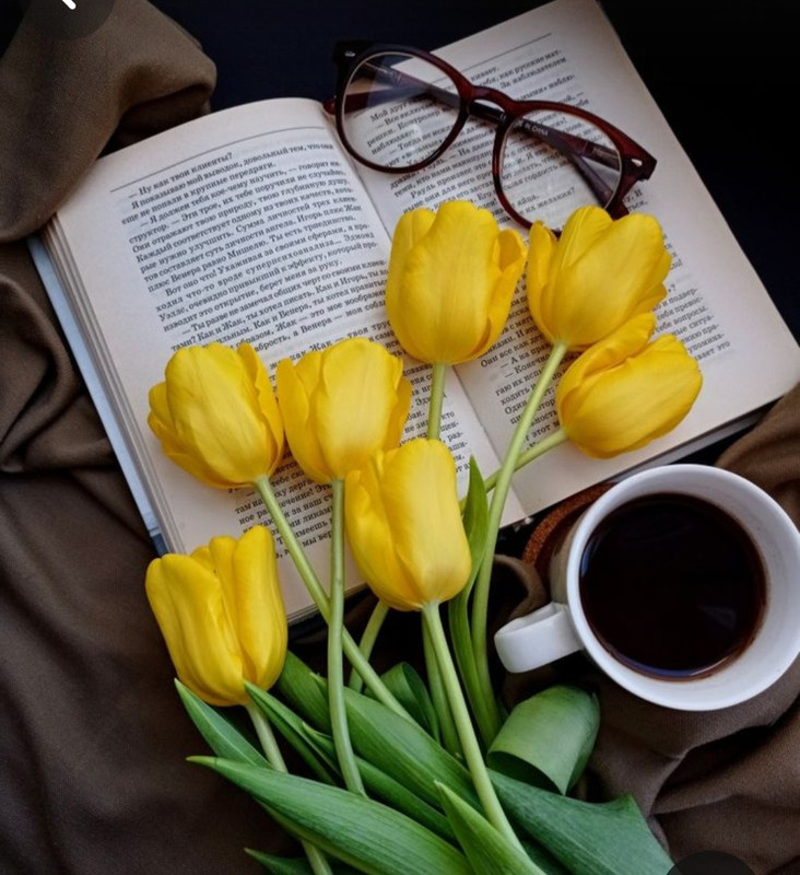 Screenshot_20240329_132452_Pinterest