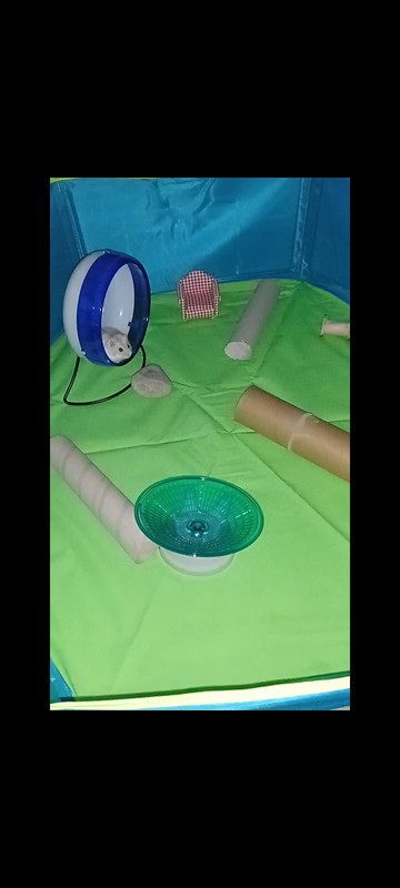 Screenshot-2025-05-09-22-02-49-688-com-m