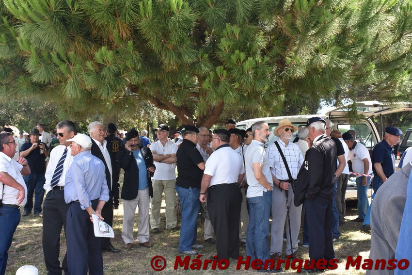 19023687_1489111914475038_4901066944164077592_o