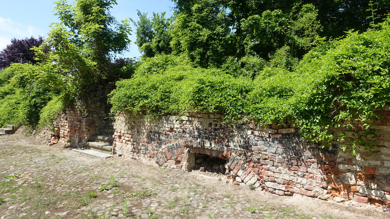 13 08 DSC03309 (Barabasz)