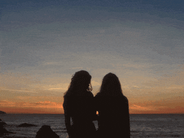 17302379744692784951787328651563.gif