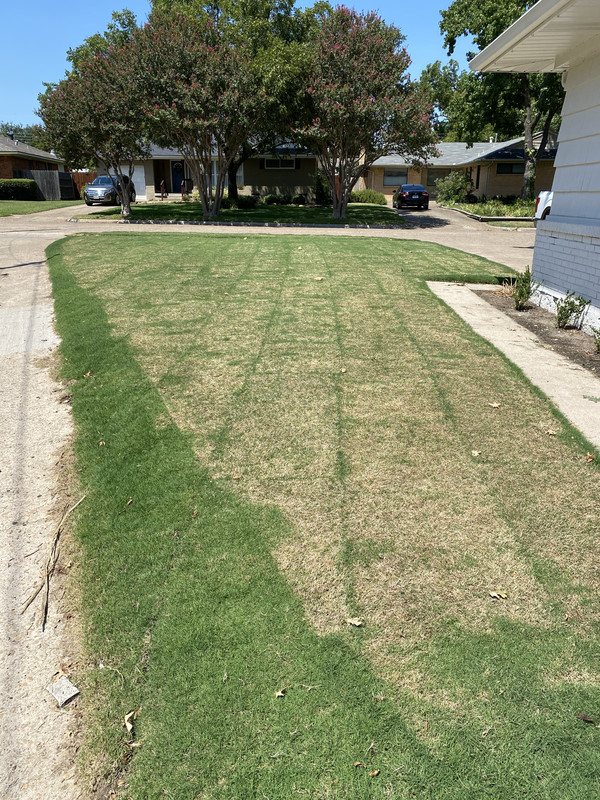 5CE87B8C-5580-4B9B-BB4F-8808F1B0D50D