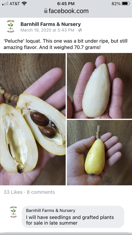 1018DF43-B443-4846-98AD-F4C399A60368