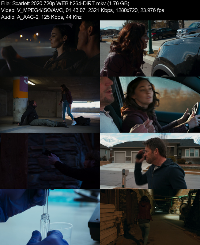 scarlett-2020-720p-web-h264-dirt.png