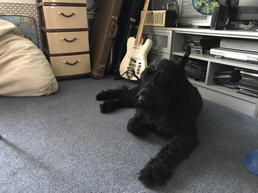 87909972-4BAD-42EF-B0AF-E9EFCD88CFDA