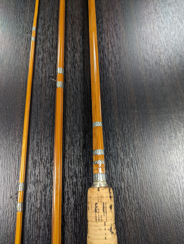 PXL_20240119_224625482