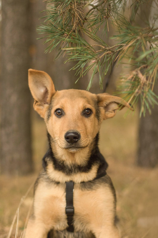 изображение_viber_2022-01-10_11-25-28-543