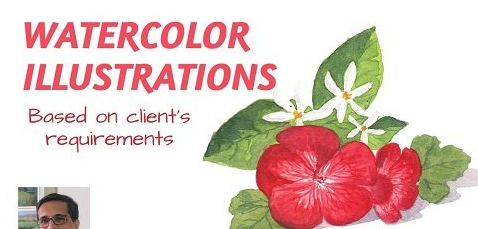 Watercolour Illustrations: Based on Client Requirements