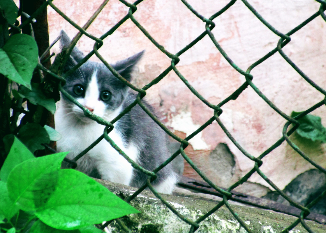 IMG-0211-1