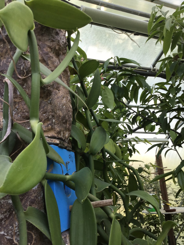 A1173B4F-7D5F-45FA-BE1B-2977BAF33C61