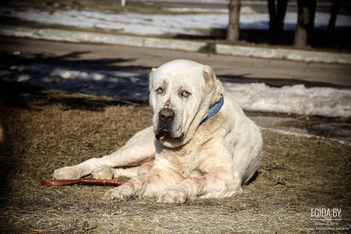 F5842973-0DCB-4FEB-ABDA-D8541EEAA06D