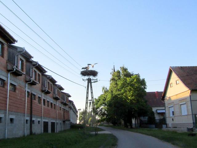 Kép