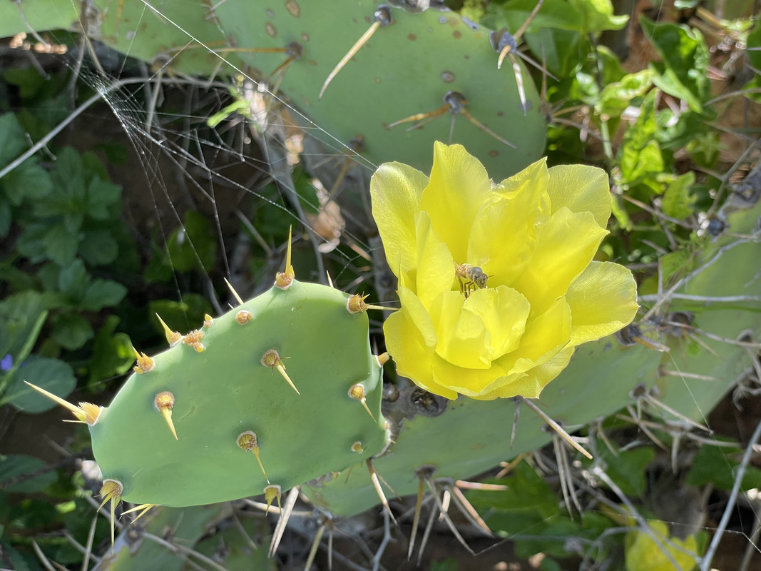 Skype_Picture_2022_08_18T13_27_05_075Z