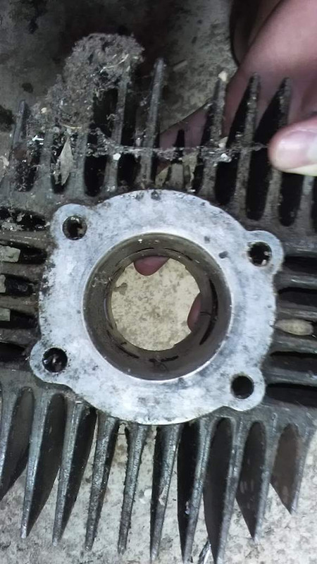 received_1976379325914408