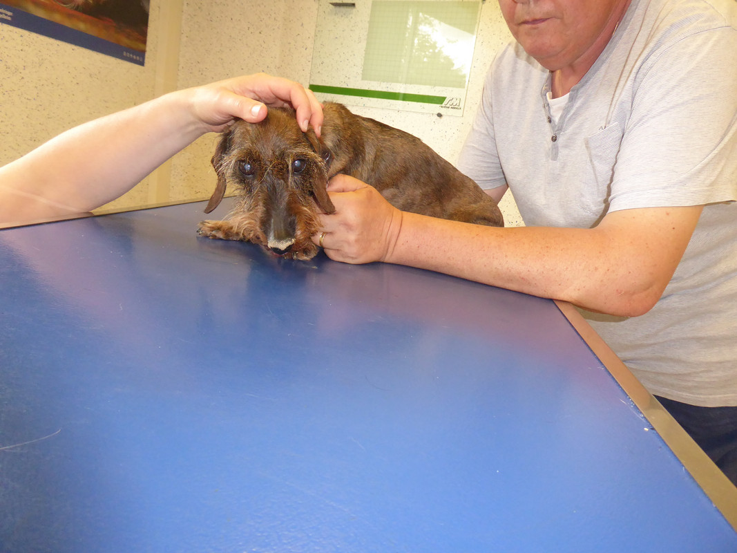 [Image: P1040879.jpg]