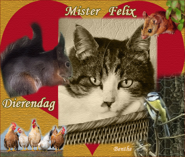 dierendag