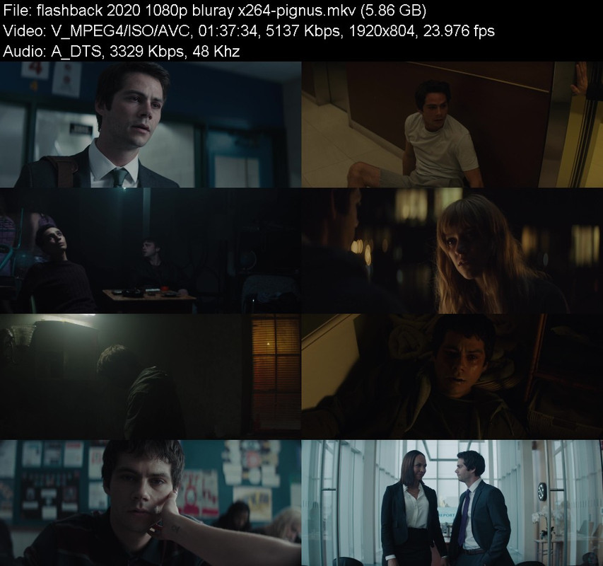 flashback-2020-1080p-bluray-x264-pignus.
