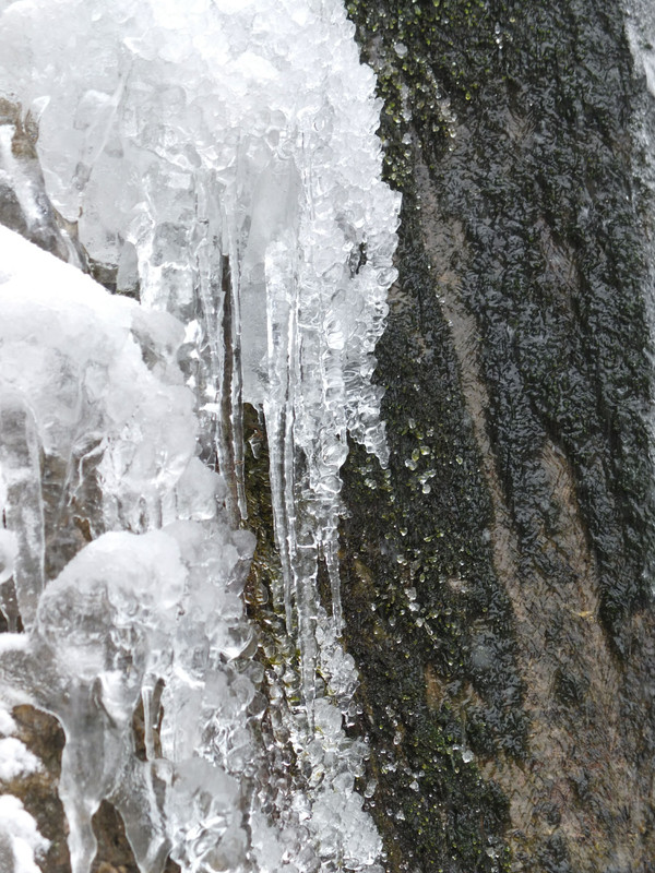 022 - DSCF5675 (Athenais)