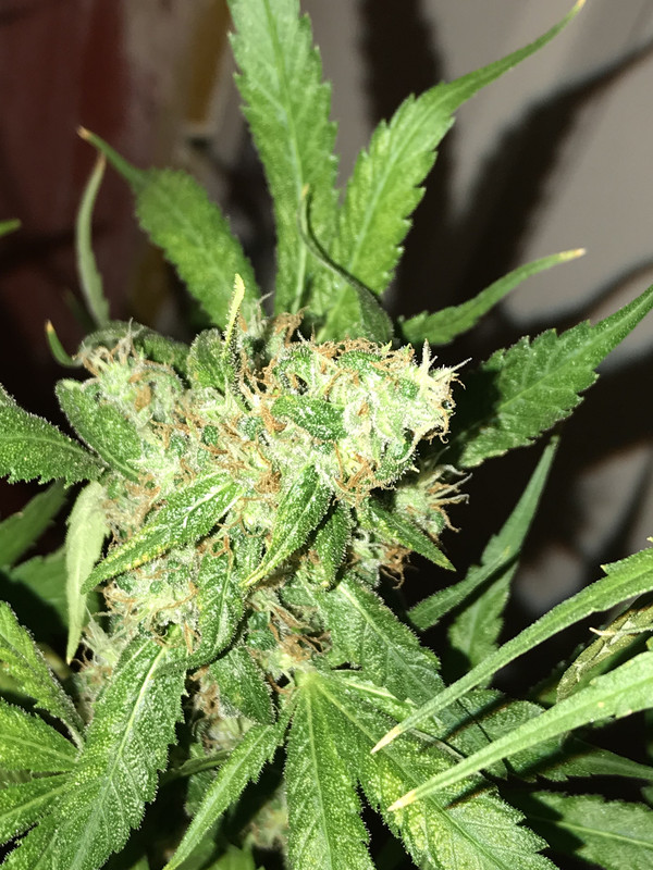 C024F4E6-E05D-4F48-AC22-A4C1BF00180C