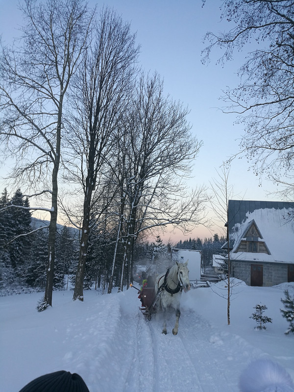 06.14 - IMG_20170107_154108_1 (Maciek)