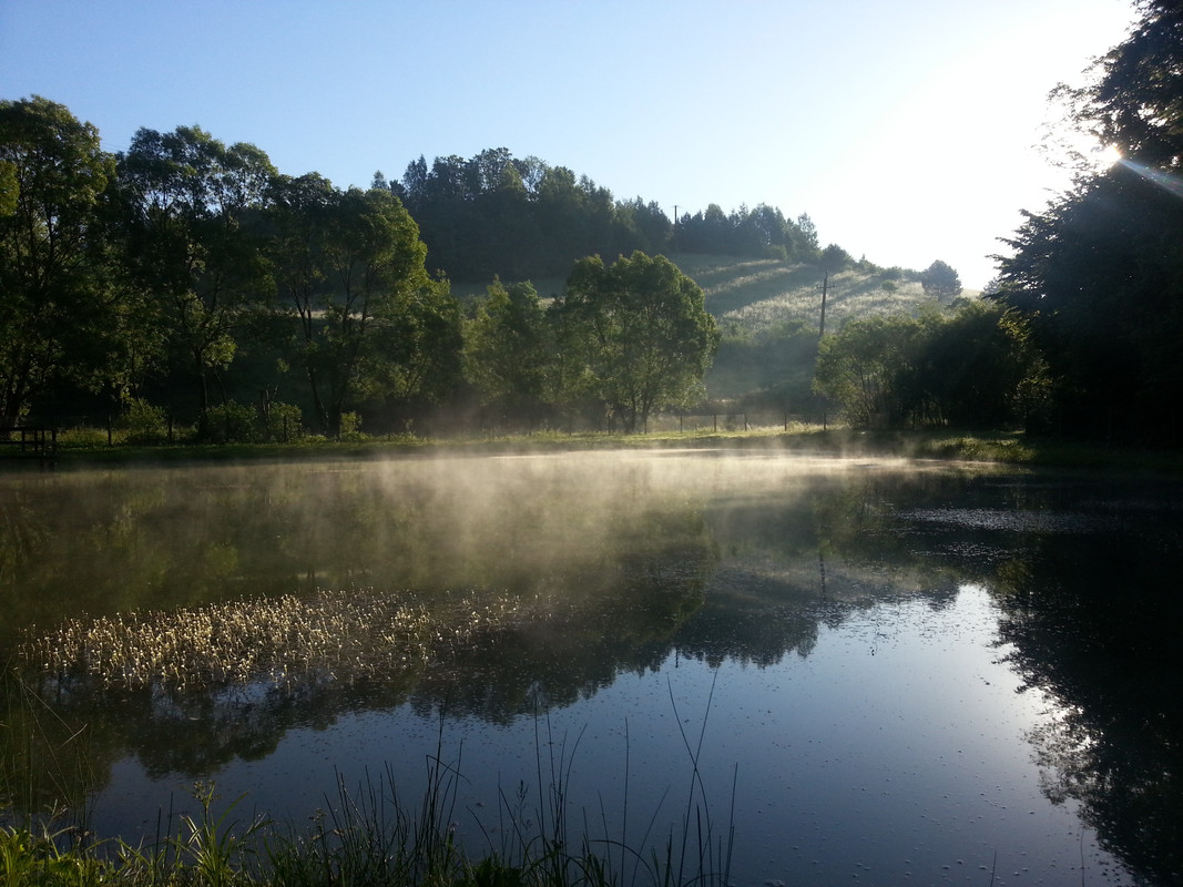 151c - 20150606_061333 (VdL)