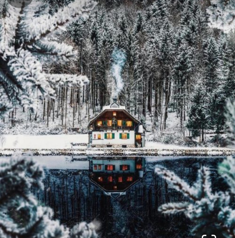 Screenshot_20231210_232901_Pinterest