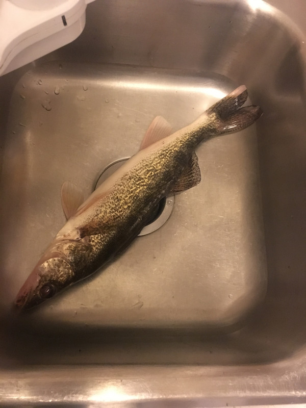 89981691-D459-4067-A480-093C688D1DE6