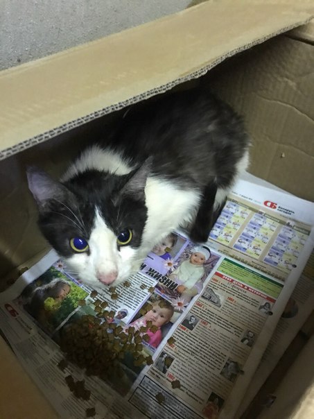 594503B4-336C-463F-B700-F687F68E2040